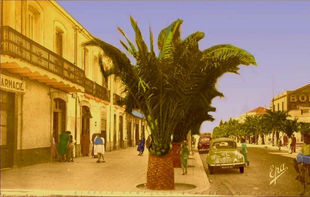 LOURMEL 08.jpg